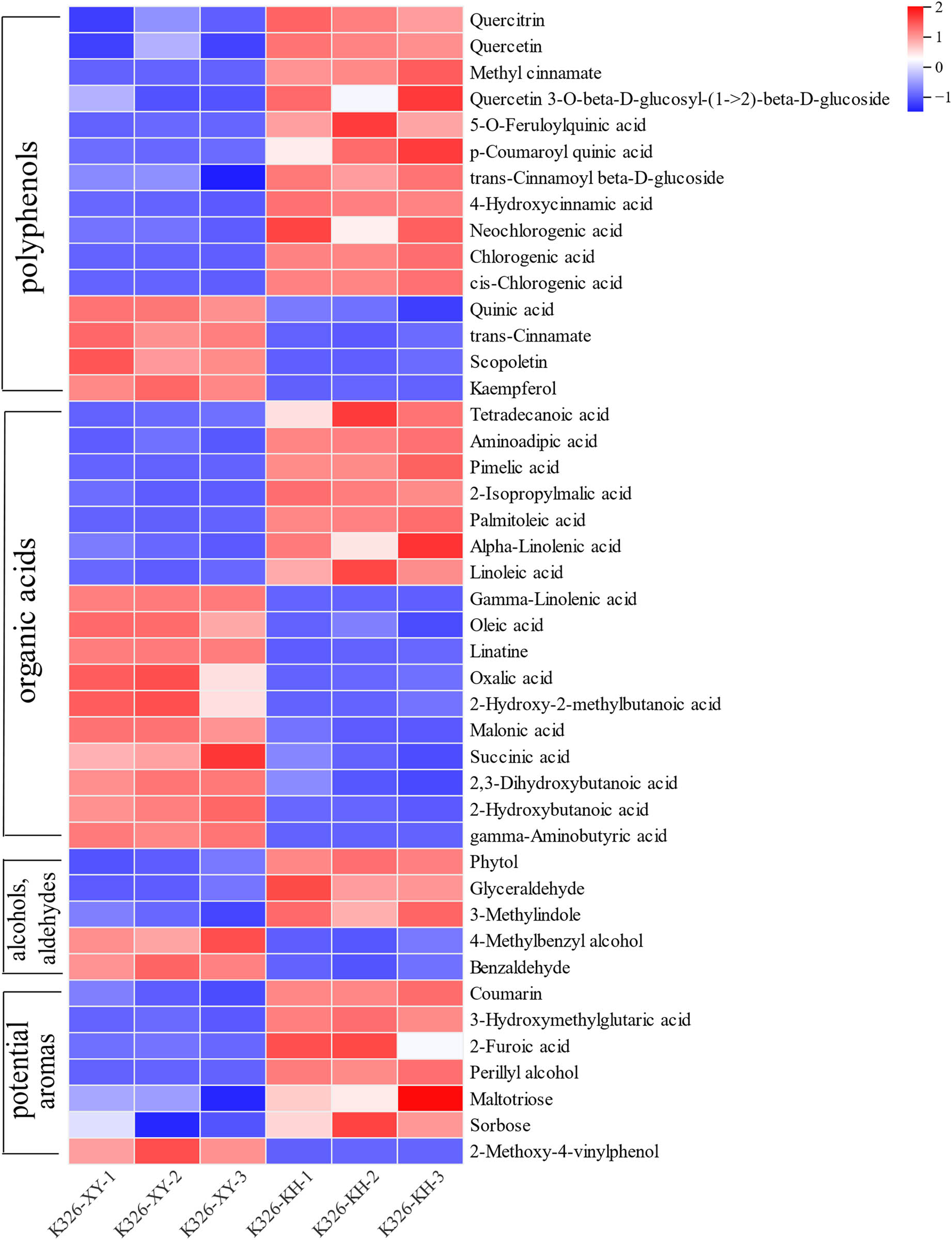 Teaser image from the article