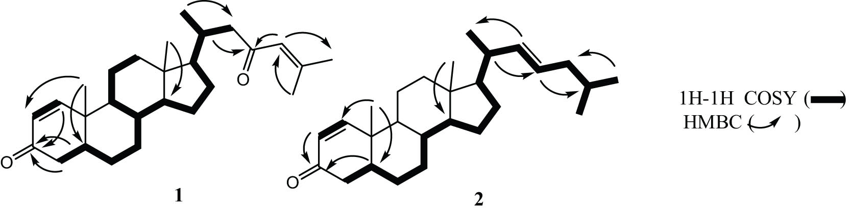 Teaser image from the article