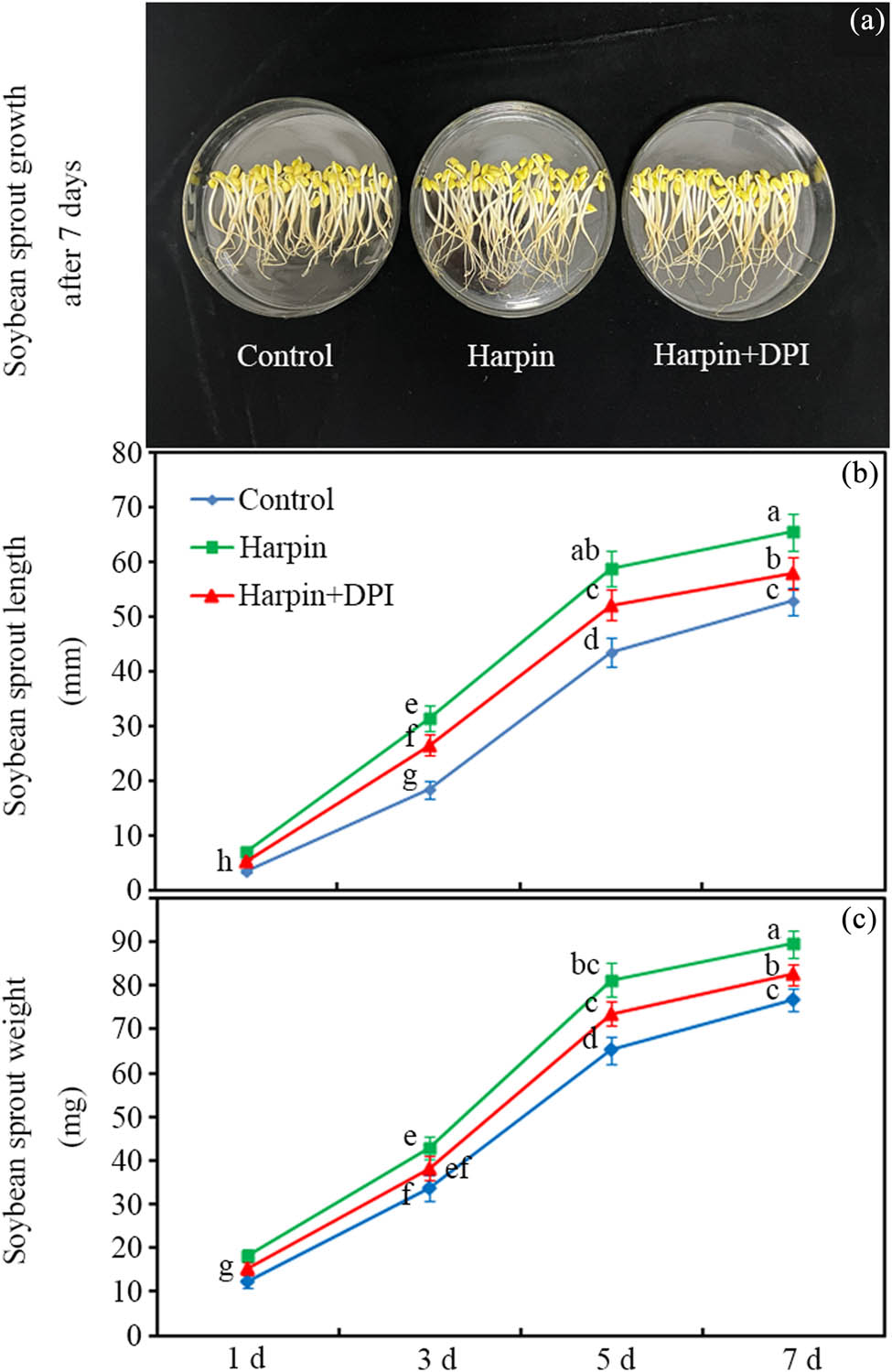Teaser image from the article