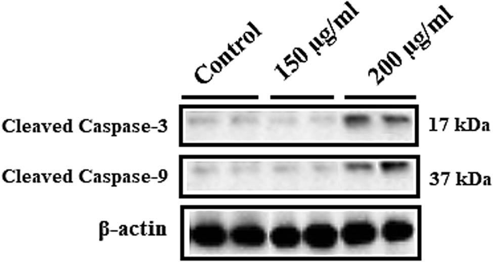 Teaser image from the article