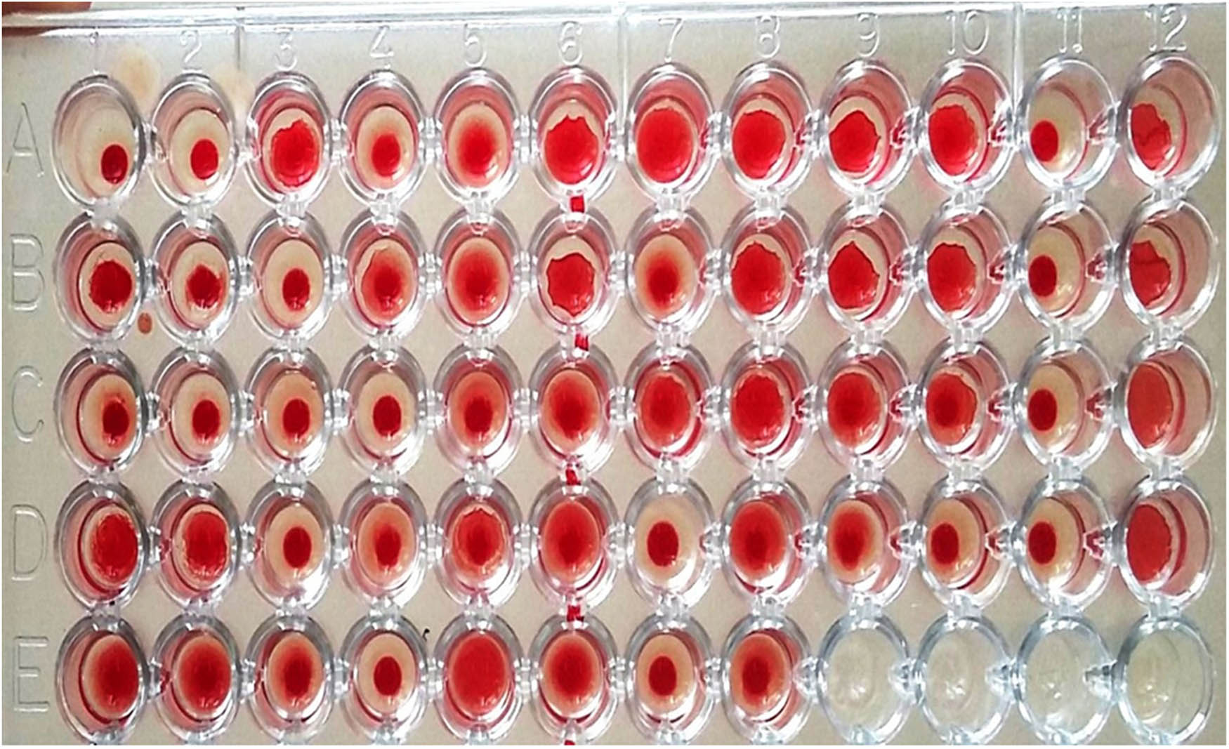 Teaser image from the article