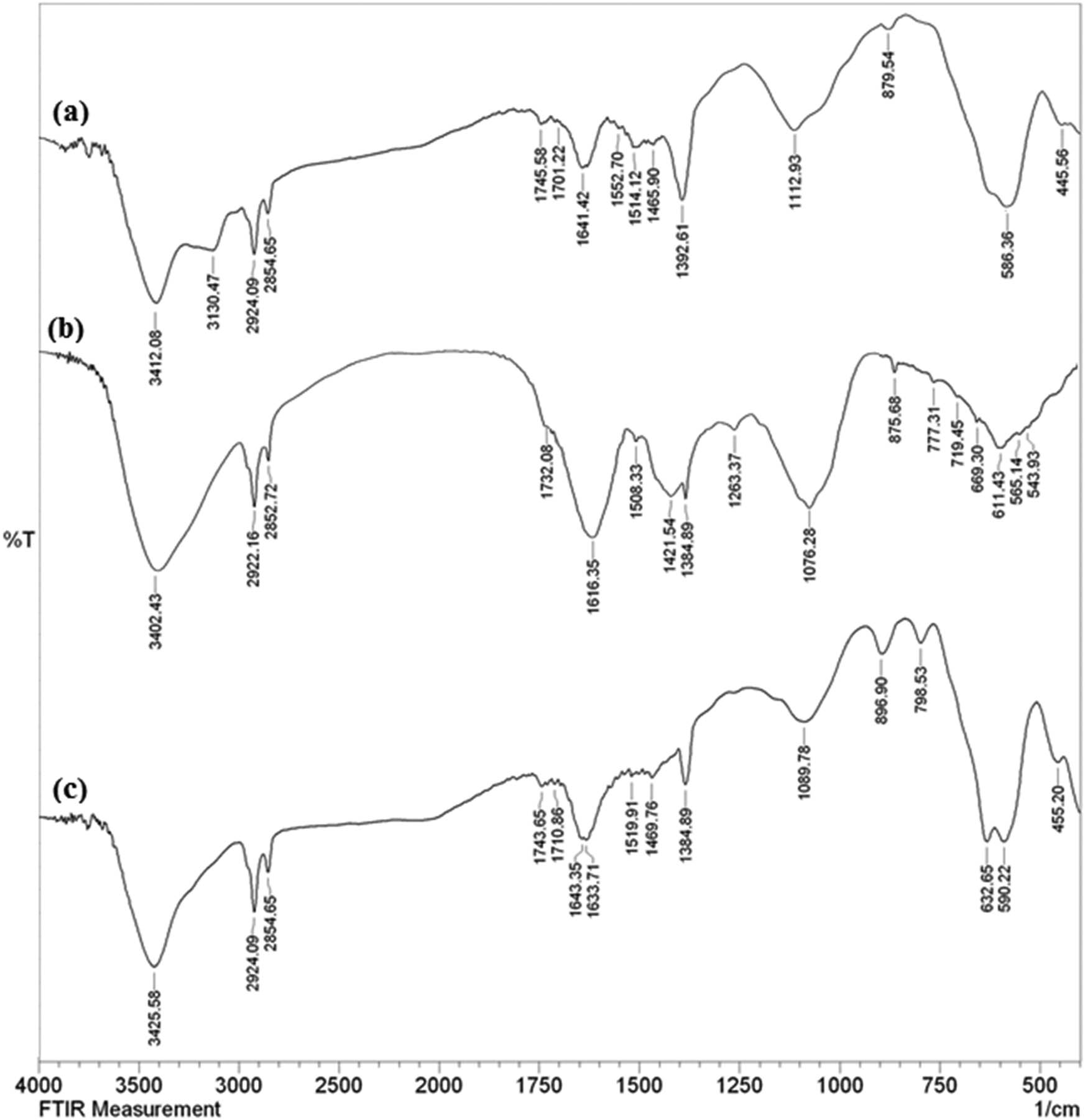 Teaser image from the article