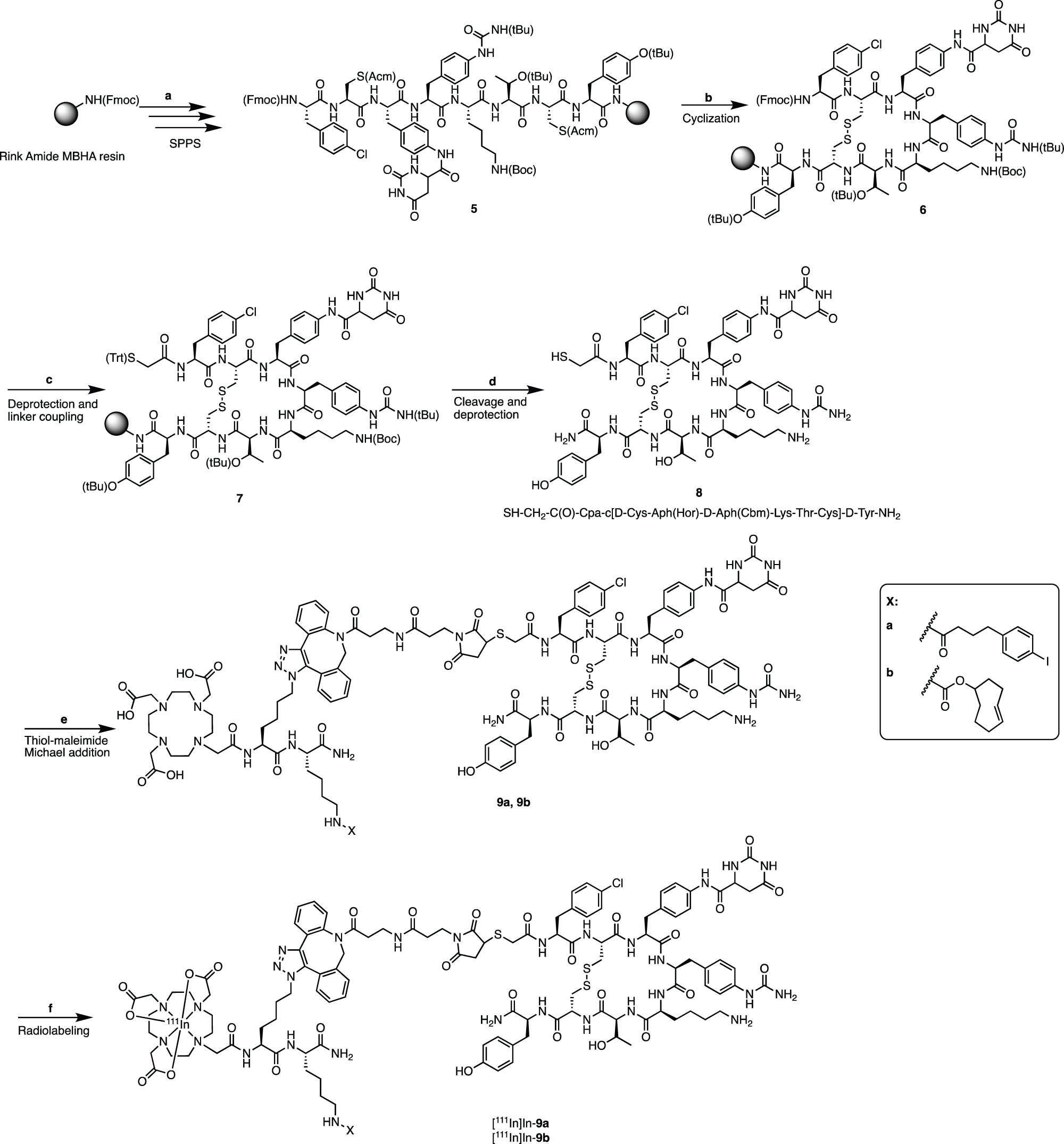 Scheme 2 
               Synthesis of compound 8. Reagents and conditions: (a) Fmoc-SPPS; (b) Tl(TFA)3, DMF, 1 h, rt; (c) (i) 20% piperidine in DMF, 13 min, rt, (ii) TrtS-CH2-OSu, DIPEA, DMF, 3 h, rt; (d) (i) TFA/TIS/H2O, 2 h, rt and (ii) TFA/DCM, 30 h, rt, 9.5%; (e) 4a or 4b, H2O/ACN, 37°C, 76% and 35%, respectively. (f) [111In]InCl3, 9a or 9b, gentisic/ascorbic acid, sodium acetate, 20 min, 90°C, 96.3, and 96.1% respectively.
            