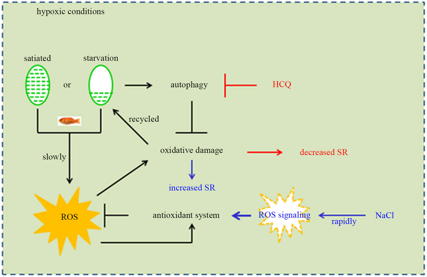 Teaser image from the article