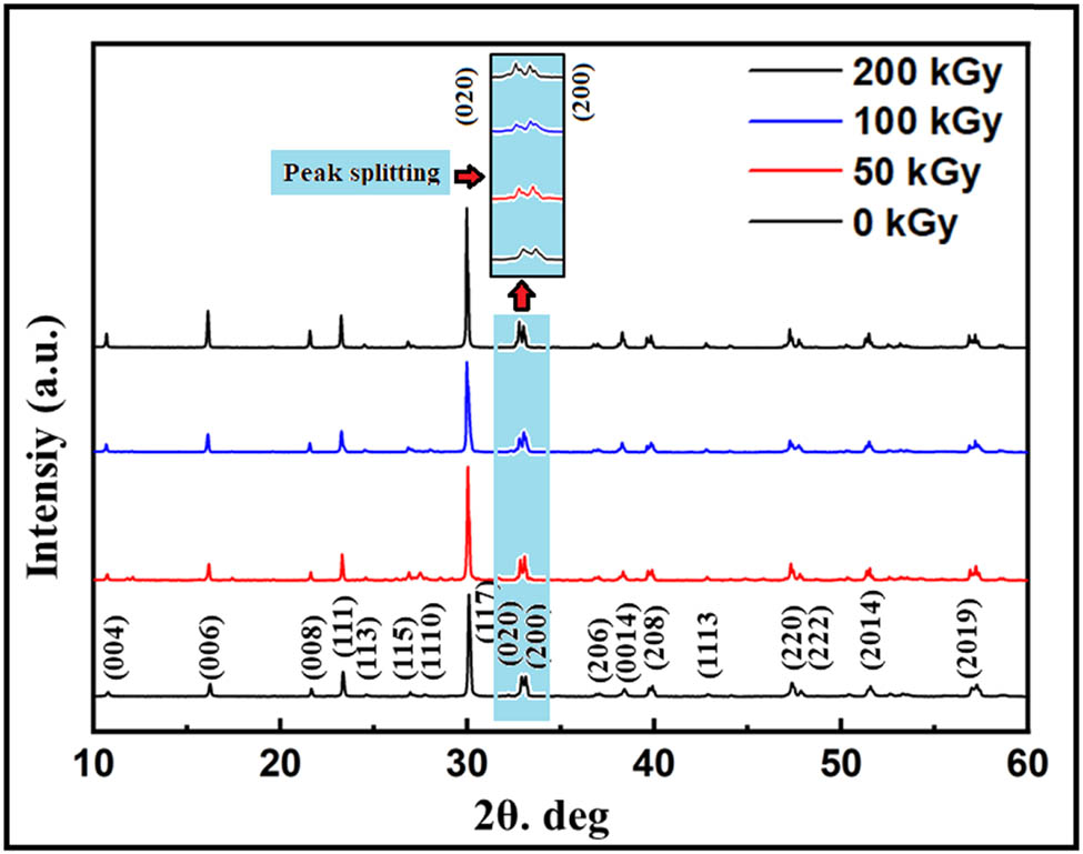 Teaser image from the article