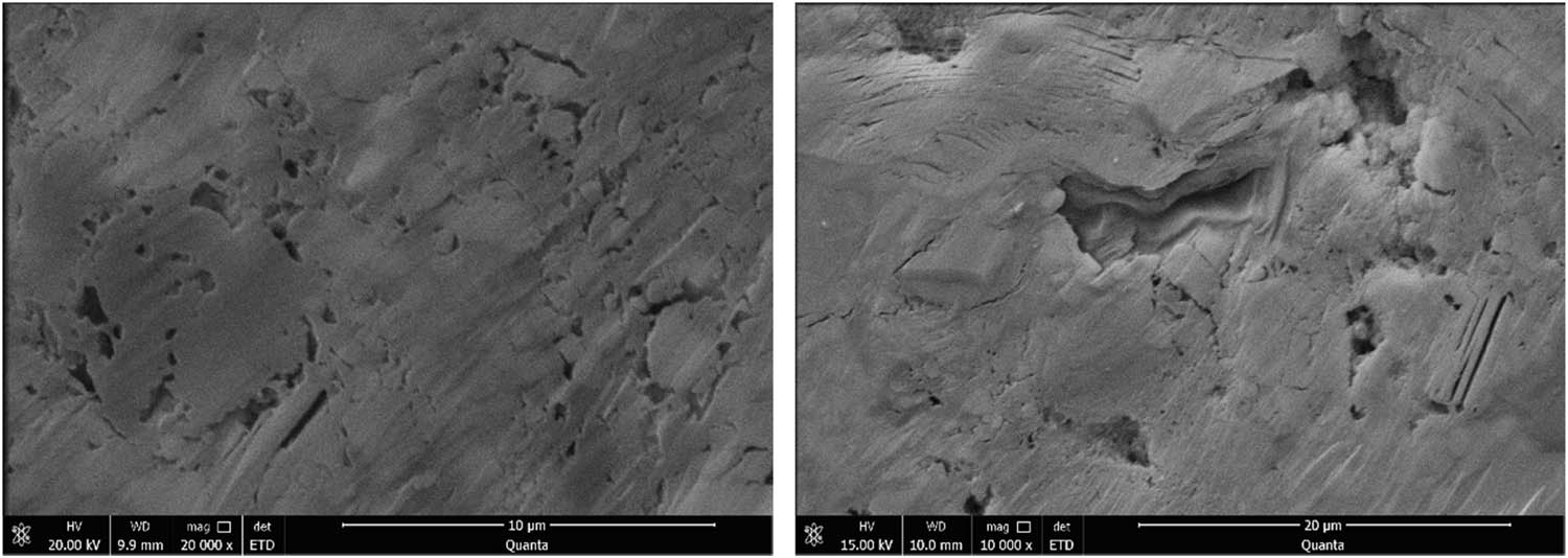 Figure 3
Microstructure of the soft rock section.