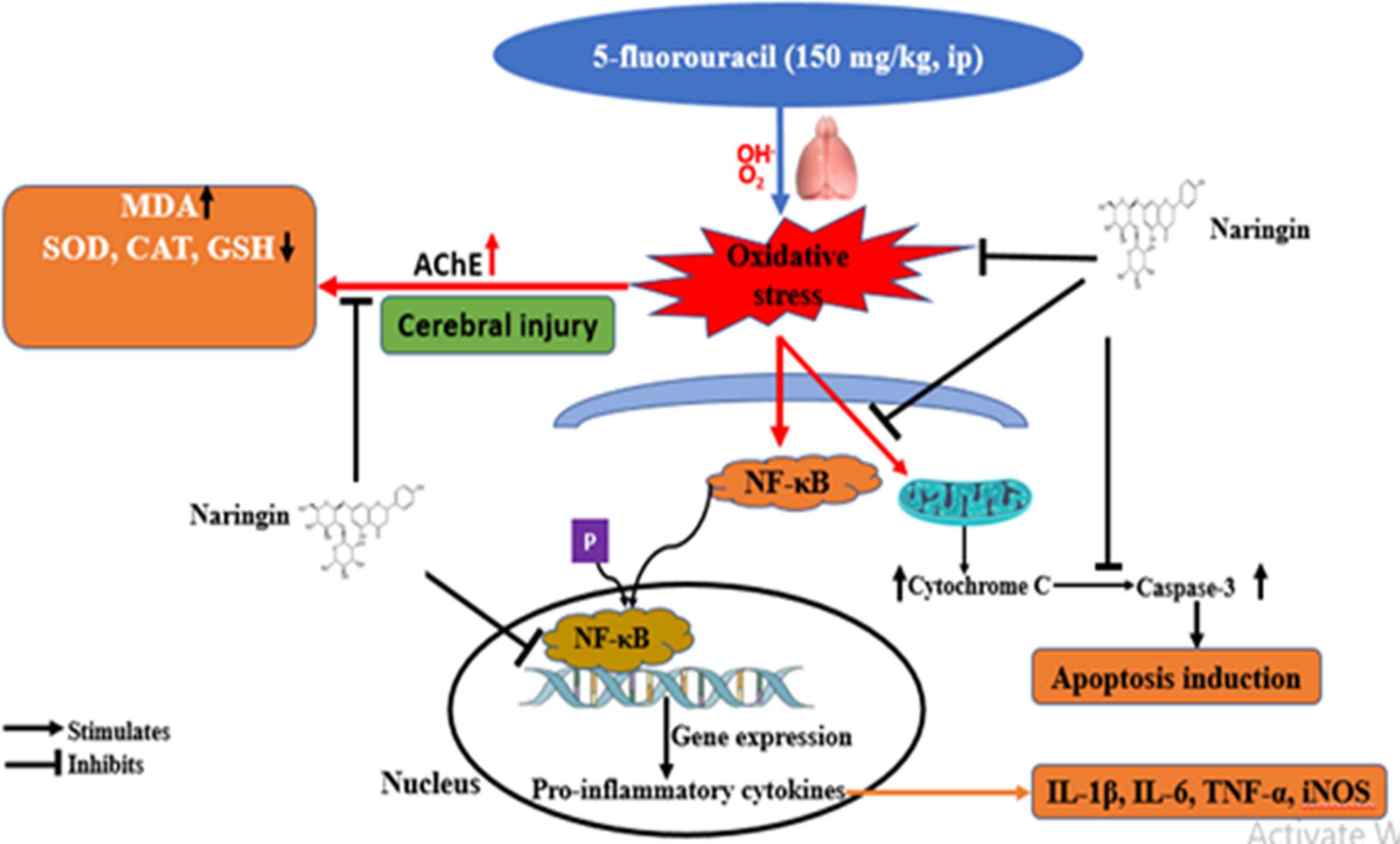 Teaser image from the article