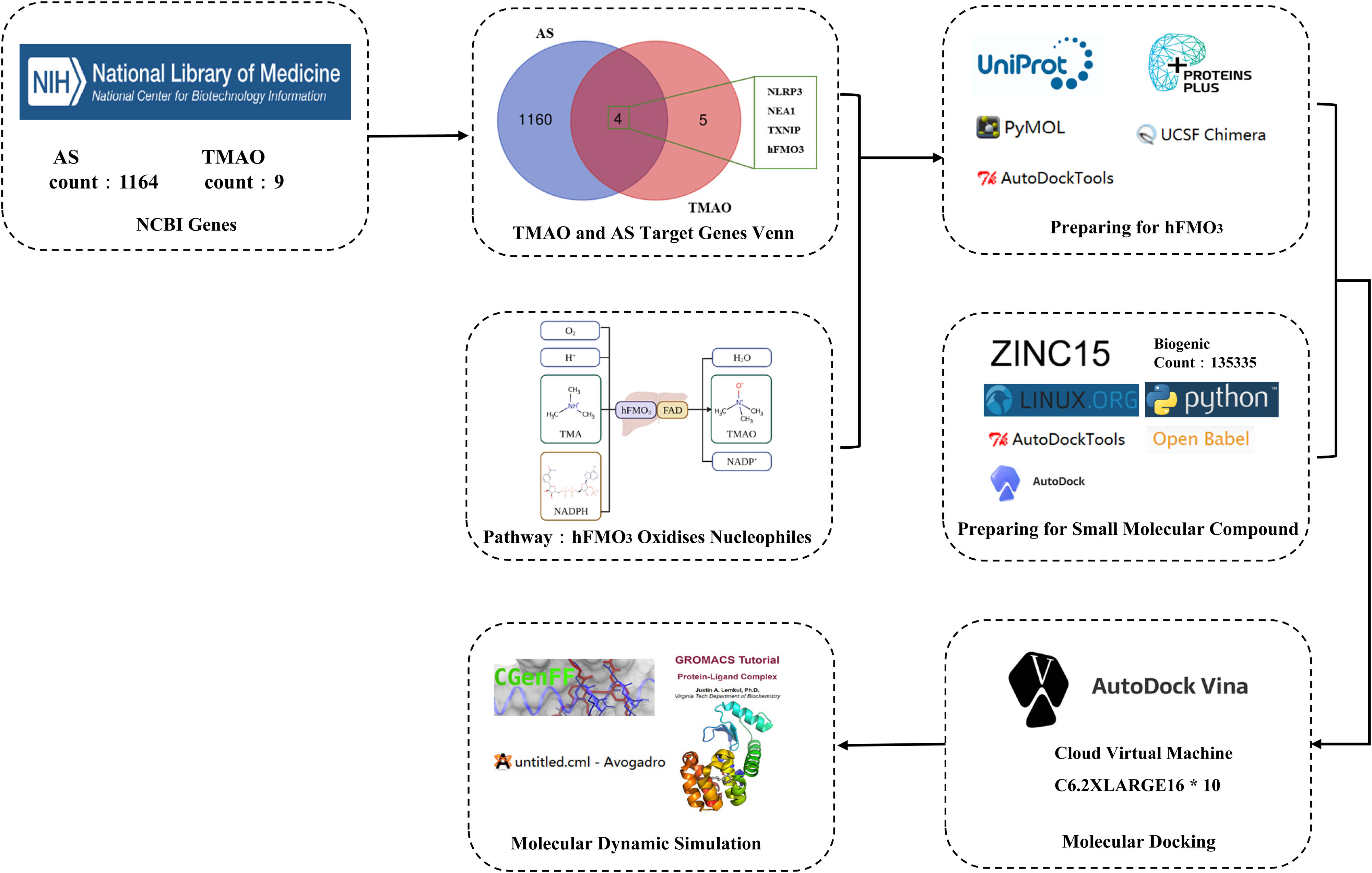 Teaser image from the article