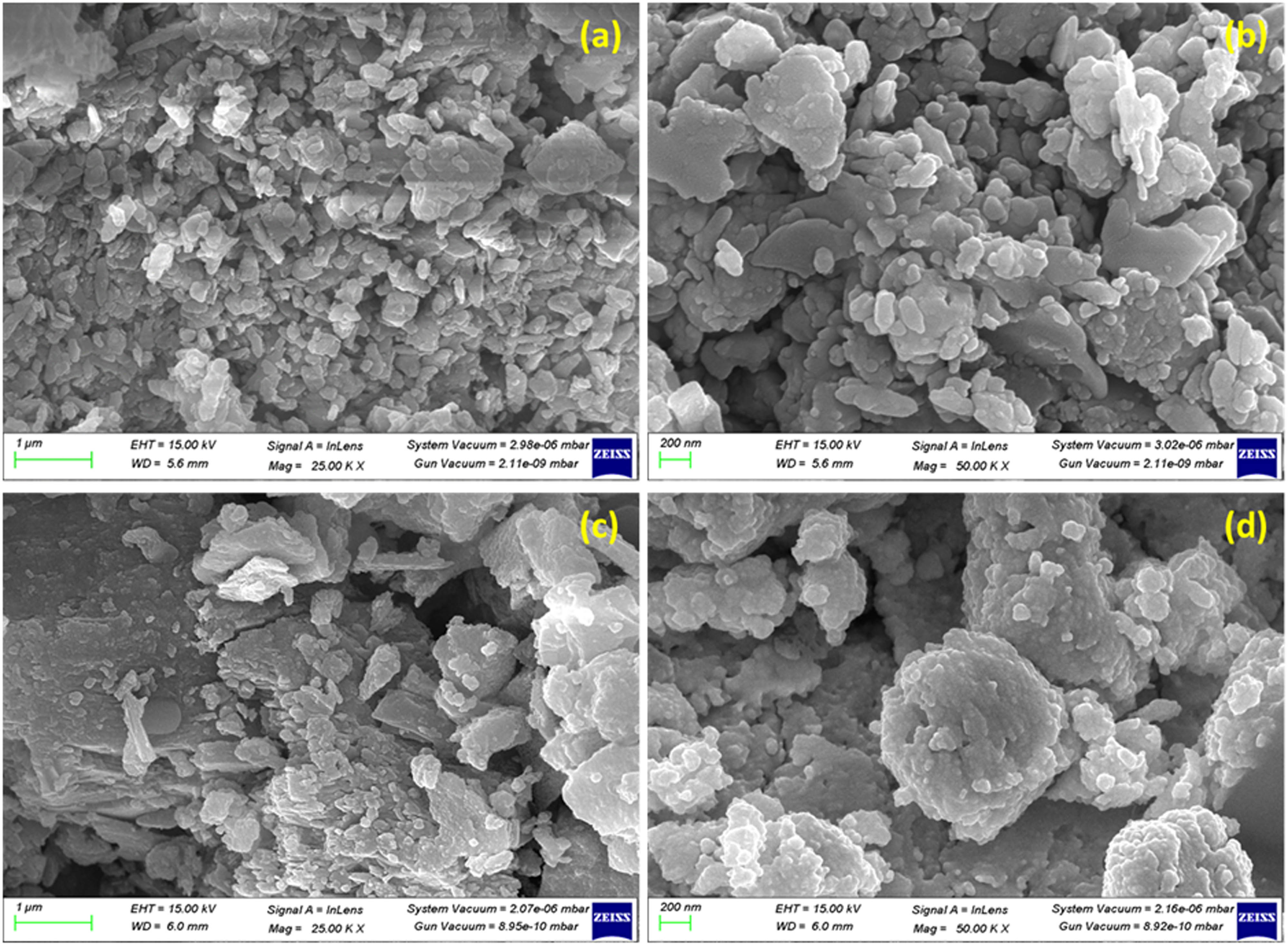 Teaser image from the article