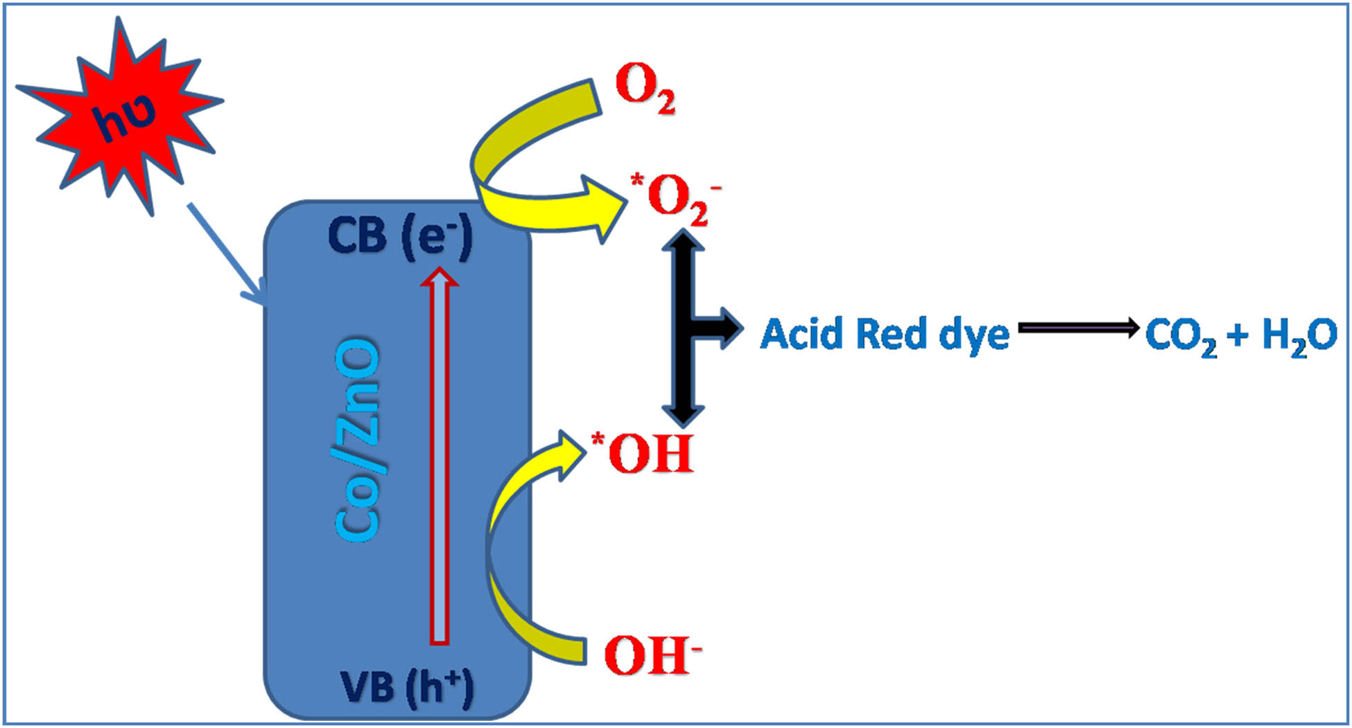 Figure 10 
                     Possible mechanism for photocatalytic degradation of the AR dye.
                  