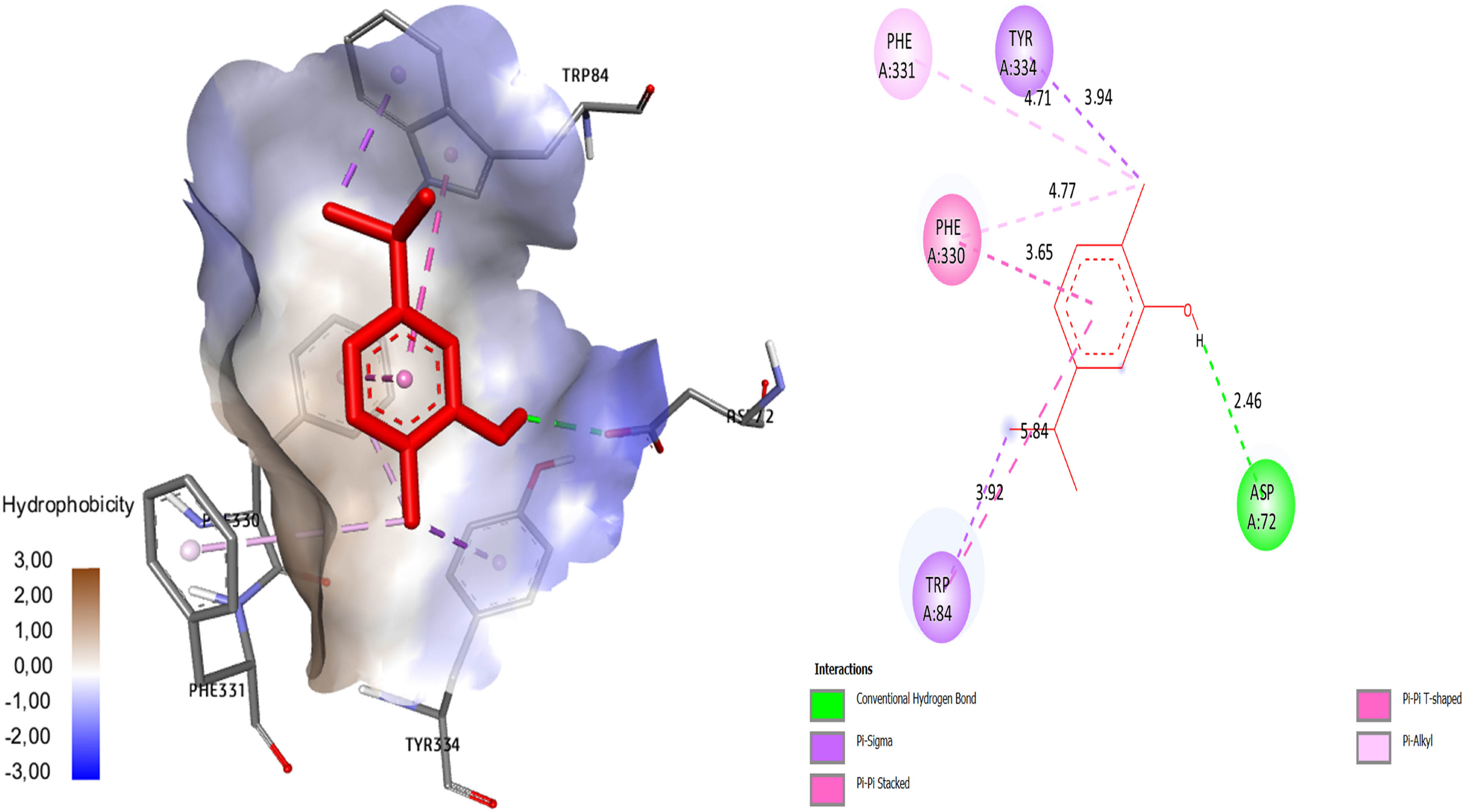 Figure 5
The molecular docking results of carvacrol with 1EVE protein, surfaces around ligand and 2D forms.