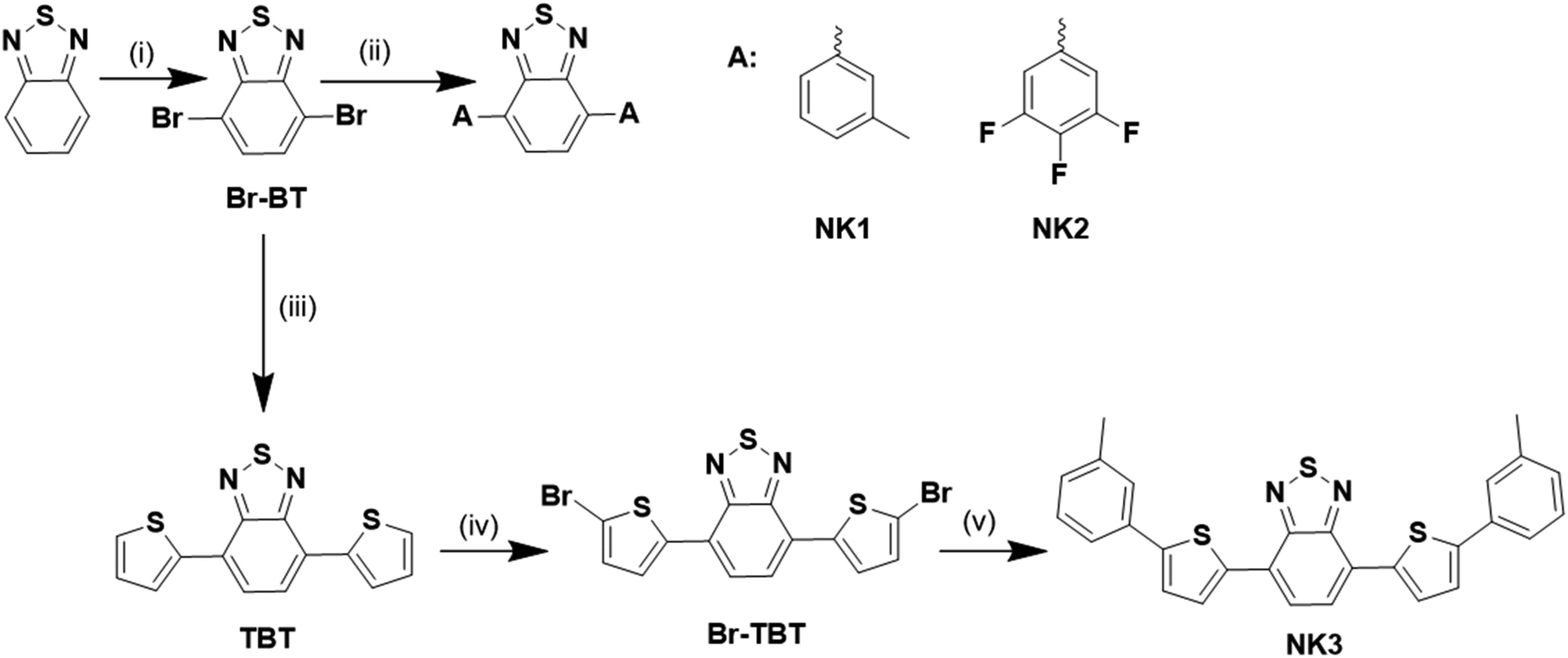 Scheme 1
Synthetic methods of NK1, NK2, and NK3 molecules. (i) HBr/Br2, (ii) 3-tolylboronic acid or 3,4,5-trifluorophenylboronic acid/toluene, K2CO3, 110–120°C, (iii) (2-thienyl)tributylstannane/THF, reflux, (iv) NBS/DMF, r.t., and (v) 3-tolylboronic acid/toluene, K2CO3, 110–120°C.