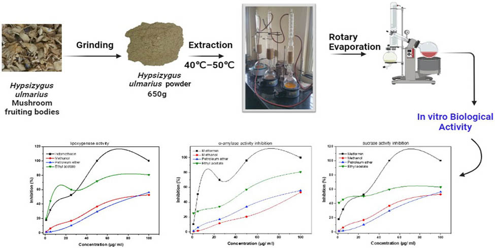 Teaser image from the article