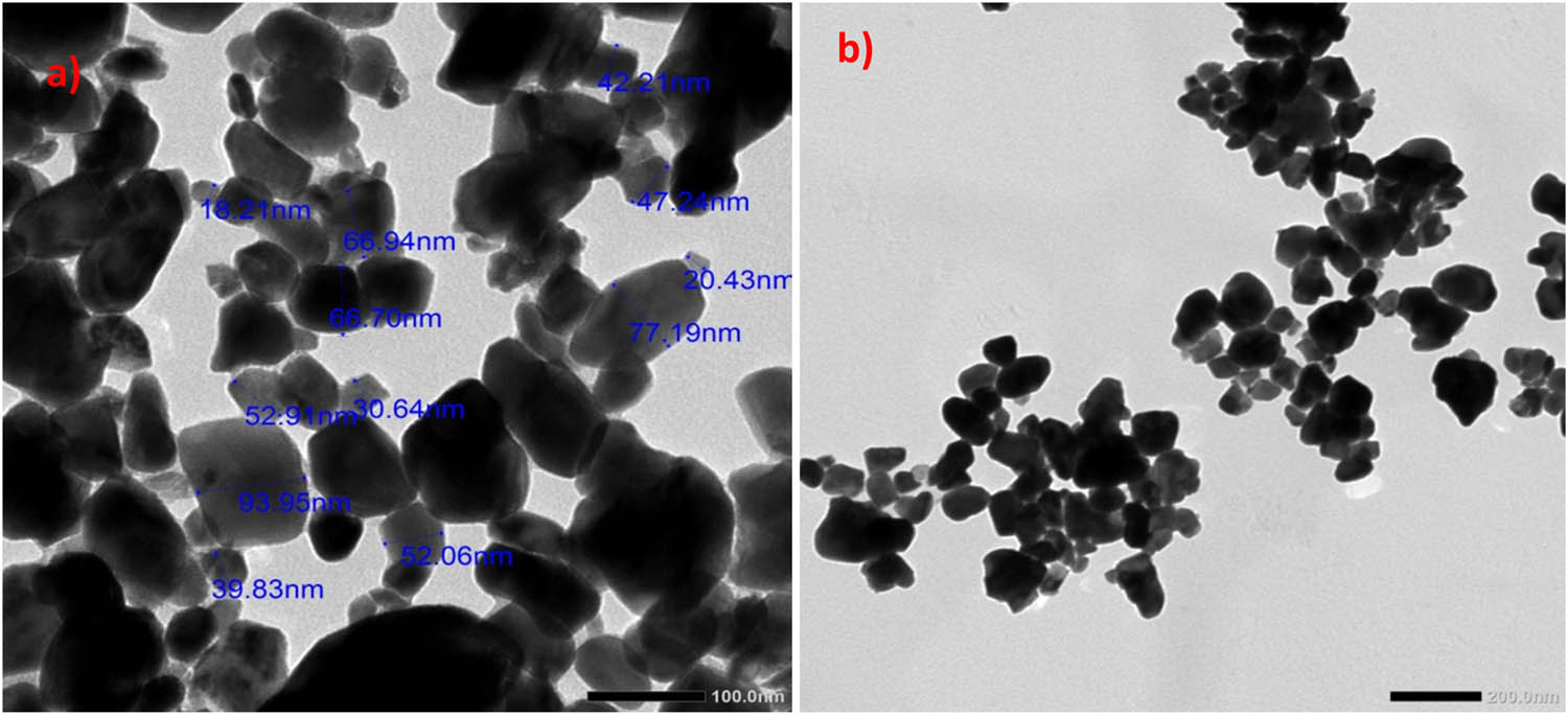 Teaser image from the article