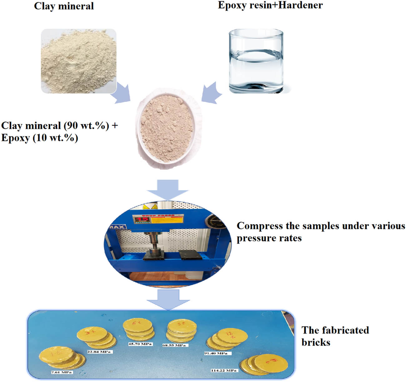 Figure 1
Schematic diagram of the fabrication processes.