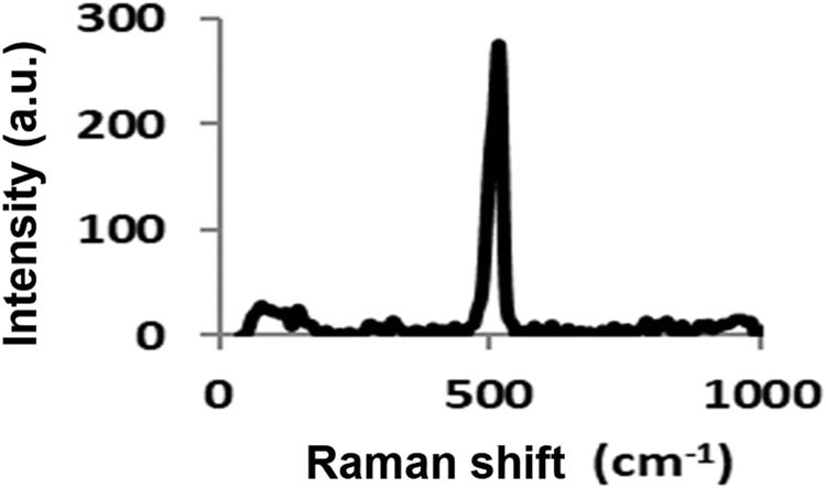 Figure 3
Raman spectra of the PS-NP powder.