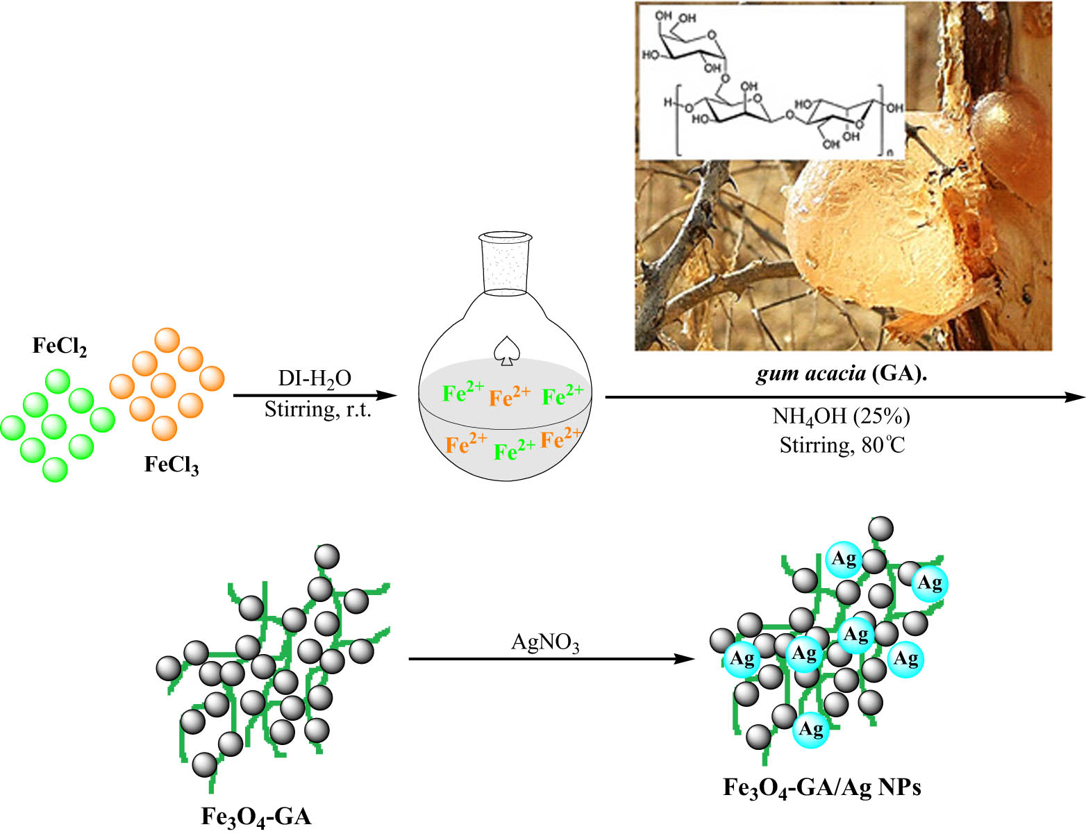 Scheme 1
Schematic preparation steps of the Fe3O4-GA/Ag NP nanocomposite.
