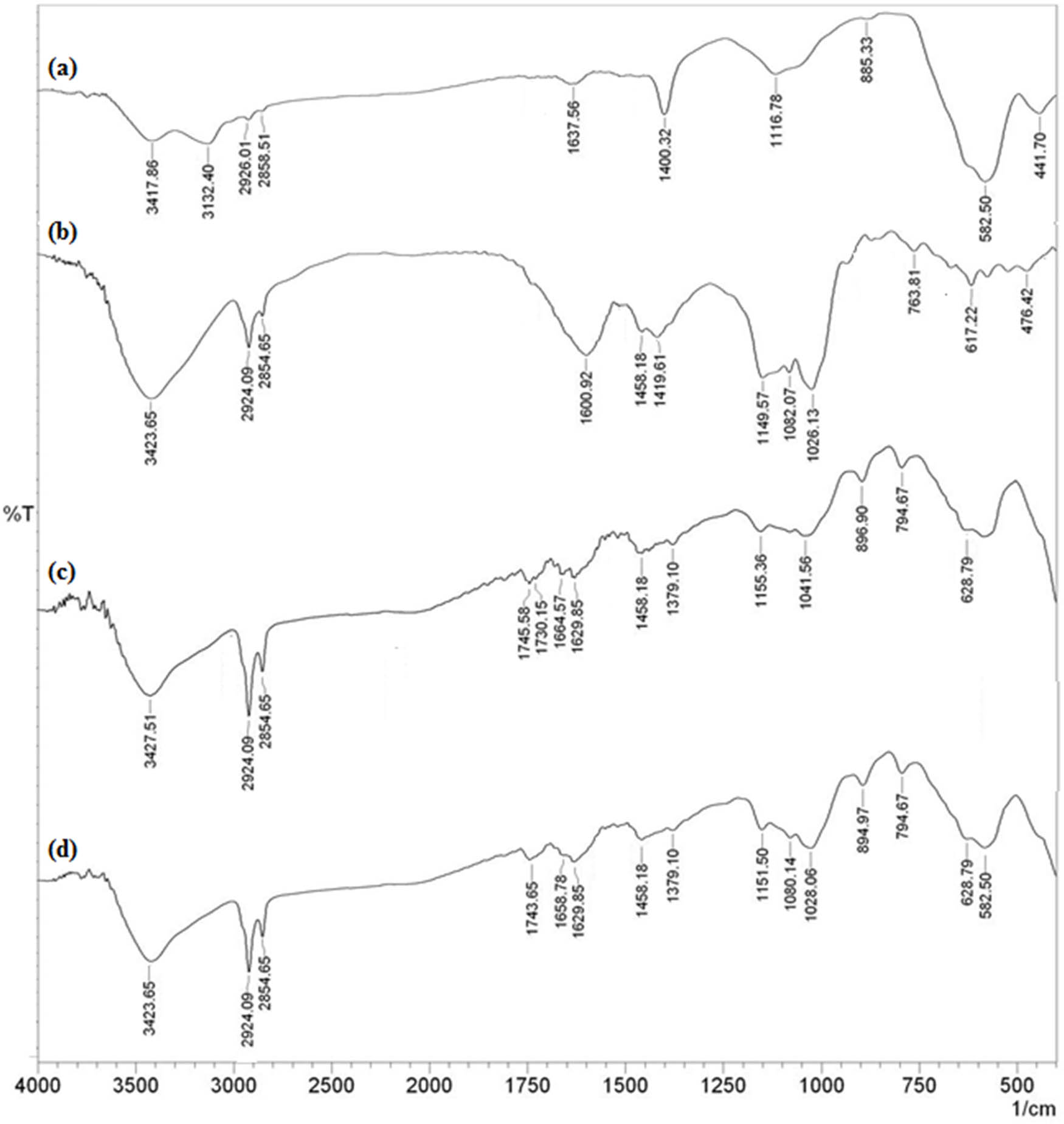 Figure 1
FT-IR spectra of Fe3O4 (a), GA (b), Fe3O4-GA (c), and Fe3O4-GA/Ag NPs (d).