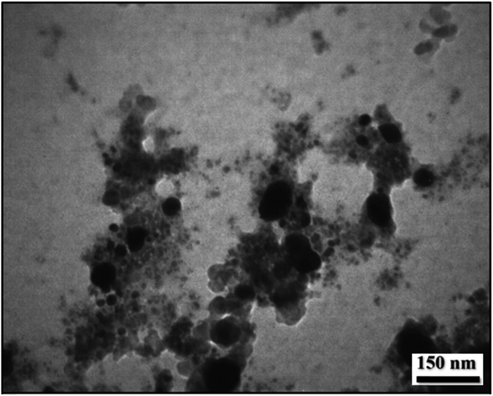 Figure 5
TEM image of Fe3O4-GA/Ag NPs.
