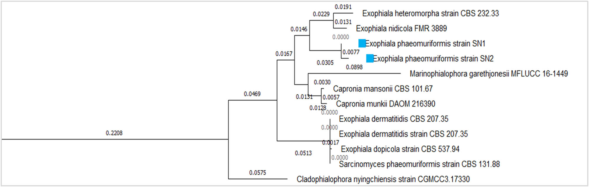 Teaser image from the article