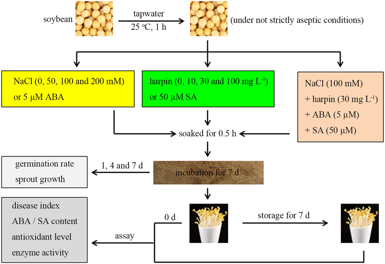 Teaser image from the article