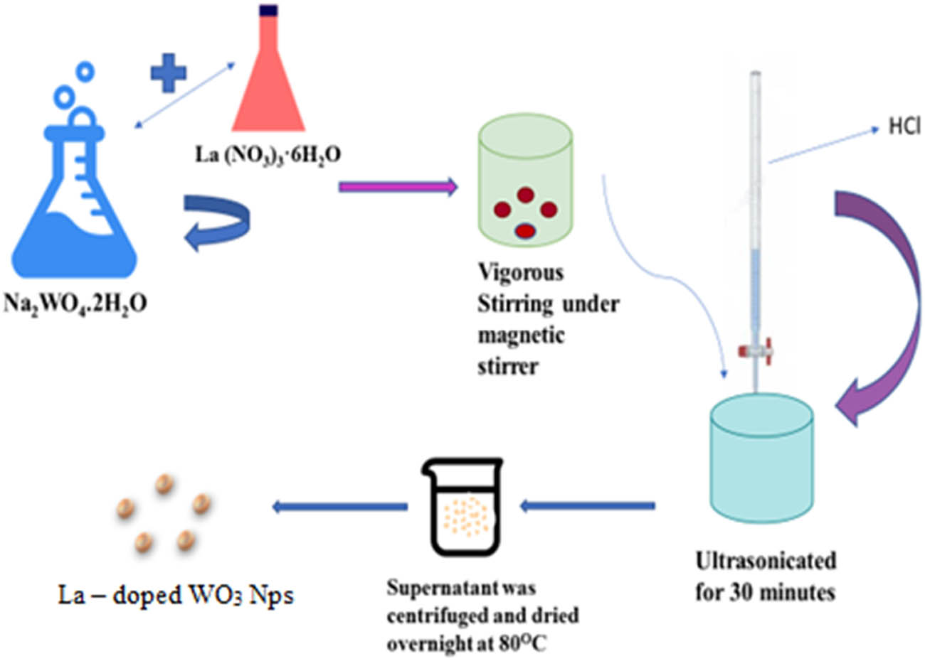 Scheme 1 
               Representation of synthesis of La-doped WO3 nanoparticles.
            