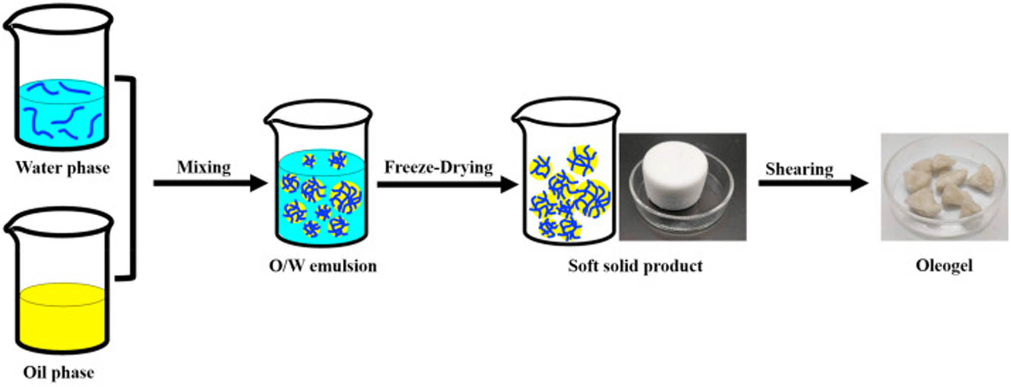 Figure 3
Schematic for the synthesis of emulsion template oleogel.