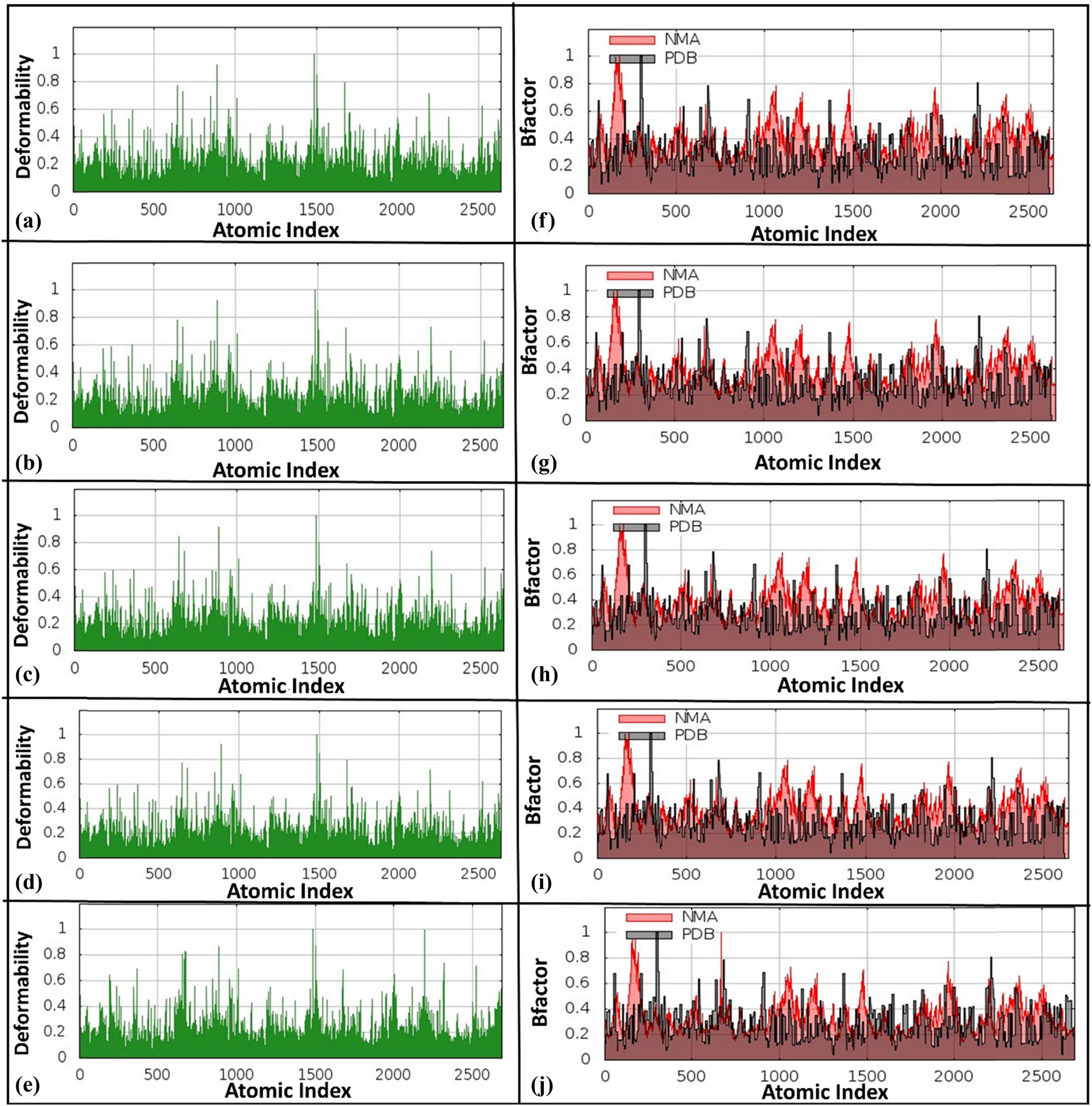 Figure 4
Deformability graphs and B-factor graphs for different HslV compound-docked complexes. The deformability graphs are shown for (a) HslV-SHS-1-61, (b) HslV-SHS-1-30, (c) HslV-SHS-1-60, (d) HslV-SHS-1-6, and (e) HslV-C-tail. Likewise, the B-factor graphs are presented for (f) HslV-SHS-1-61, (g) HslV-SHS-1-30, (h) HslV-SHS-1-60, (i) HslV-SHS-1-6, and (j) HslV-C-tail.