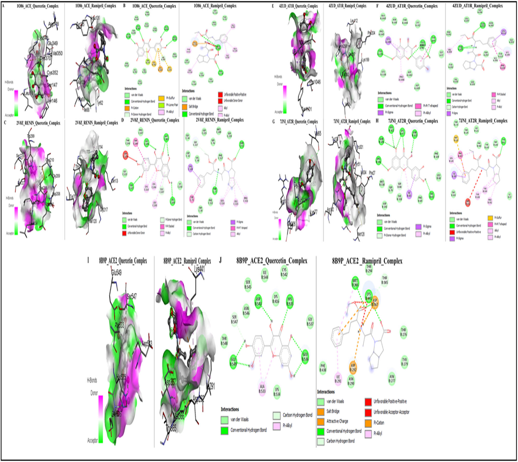 Figure 7 
                        Illustration of the protein–ligand interaction of quercetin and ramipril with targets involved in the RAS pathway. (a) 3D structures of the ACE_quercetin and ACE_ramipril complexes; (b) 2D structures of ACE_quercetin and ACE_ramipril complexes; (c) 3D structures of renin_quercetin and renin_ramipril complexes; (d) 2D structures of renin_quercetin and renin_ramipril complexes; (e) 3D structures of AT1R_quercetin and AT1R_ramipril complexes; (f) 2D structures of AT1R_quercetin and AT1R_ramipril complexes; (g) 3D structures of AT2R_quercetin and AT2R_ramipril complexes; (h) 2D Structures of AT2R_quercetin and AT2R_ramipril complexes; (i) 3D structures of ACE2_quercetin and ACE2_ramipril complexes; (j) 2D structures of ACE2_quercetin and ACE2_ramipril complexes.
                     