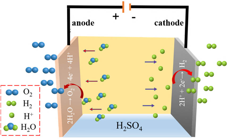 Figure 1 
               Diagram of water splitting [10].
            