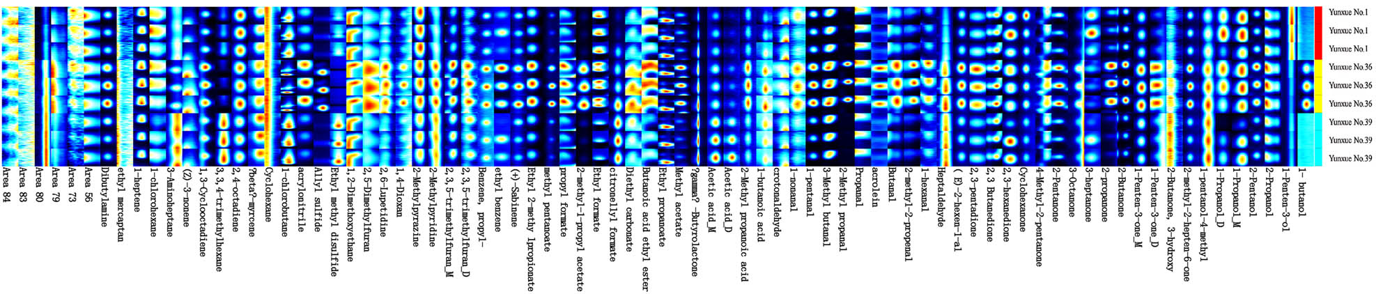 Teaser image from the article
