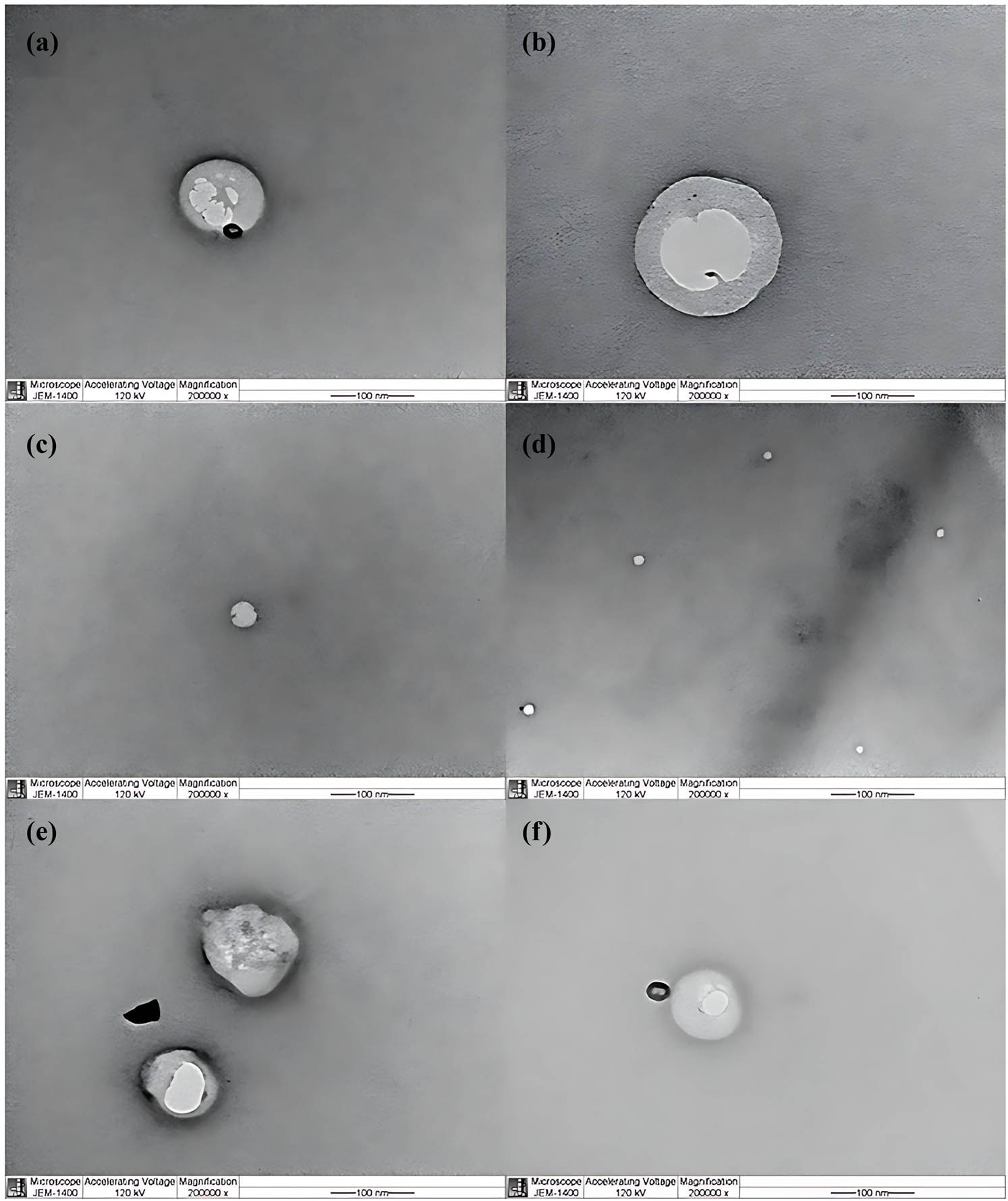 Figure 2 
                  TEM images for an optimized micellar formulation: (a)–(f) different fields at high magnification power (200,000×).