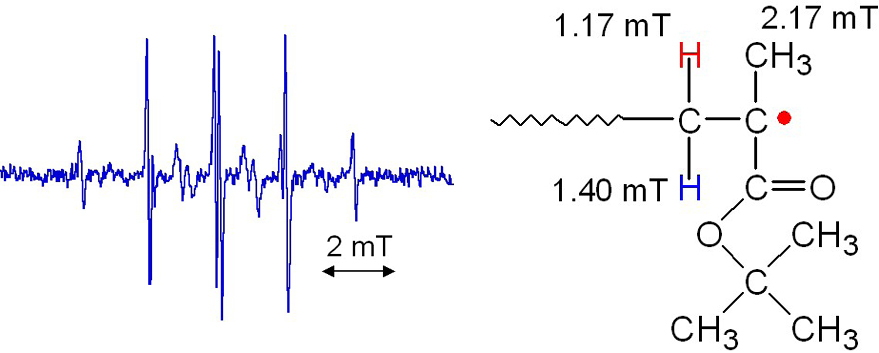 Fig. 2 SS ESR spectrum of propagating radicals