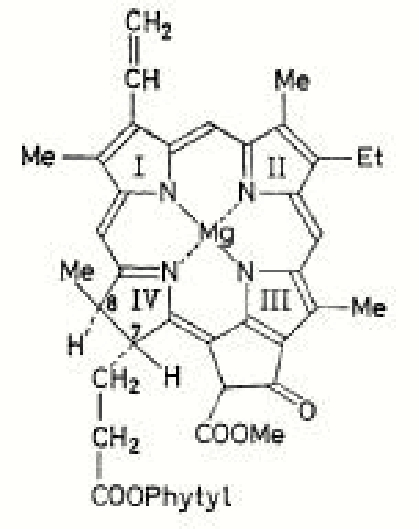  Chlorophyll, reproduced from [1], p. 384