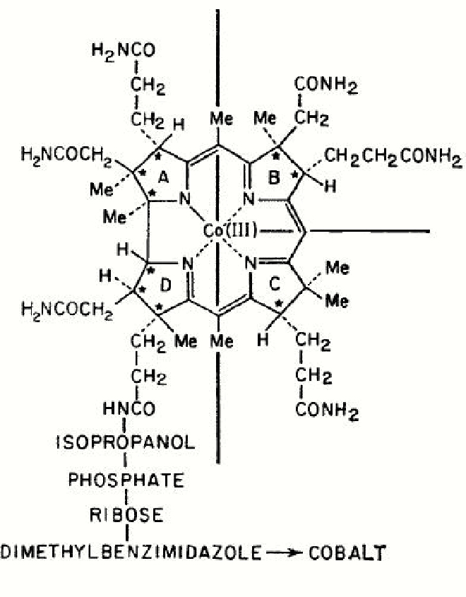  Vitamin B12 , sketch reproduced from [4], p. 520