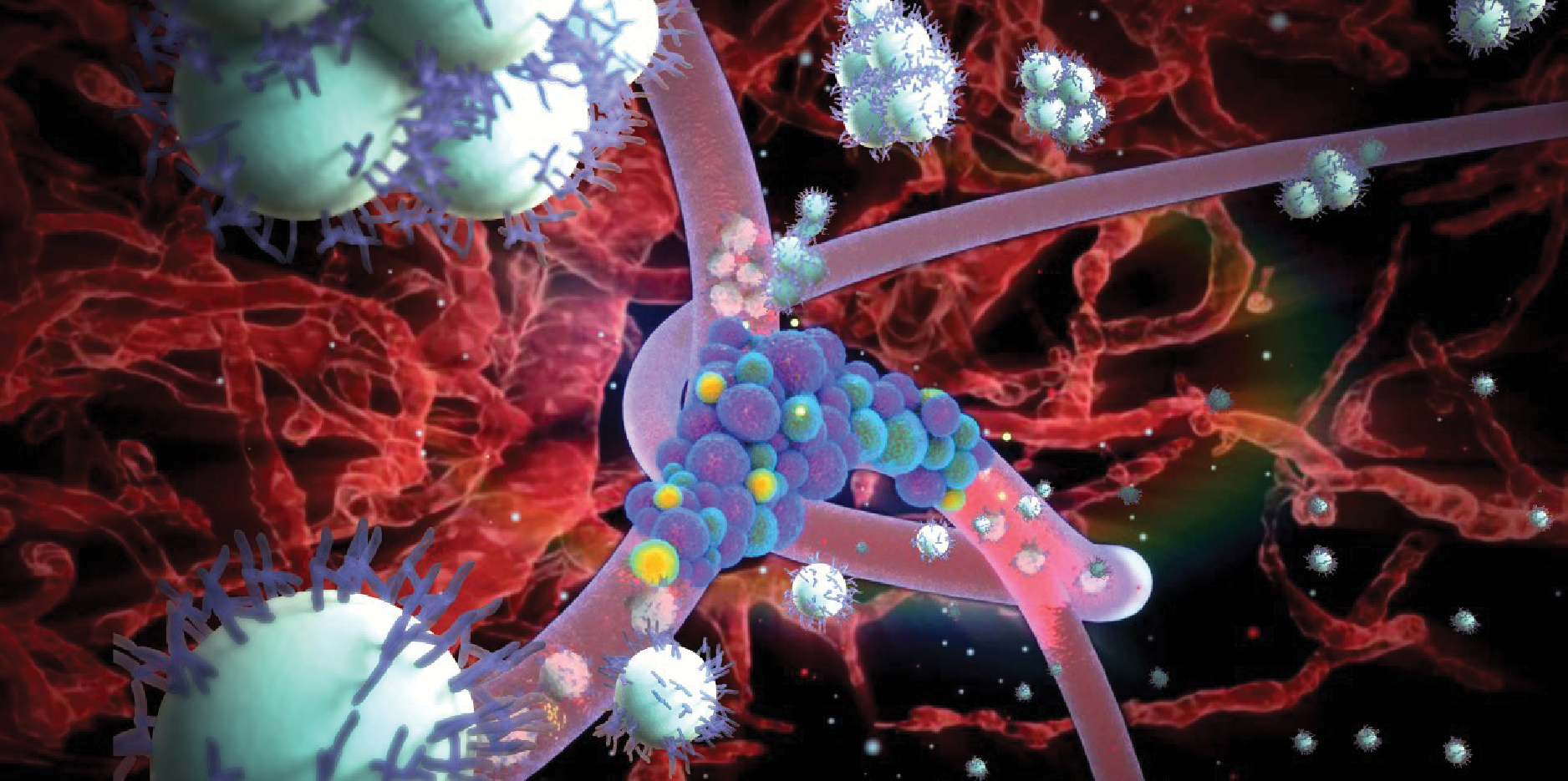 Figure 2. Illustration of a tumour being actively targeted with nanomaterial. Nanoparticles are equipped with antibodies on their surface to facilitate specific targeting. This concept was questioned by scientists who suggested that the targeting-antibodies on the surface of the nanomaterial are ‘hidden’ under a blanket of serum proteins that form so-called protein corona. Passive targeting, on the other hand, counts with accumulation in tumour via leaky vascularisation of the tumour, an effect confirmed on animal models but which is likely to be less prominent in humans. Illustration adapted and modified from: https://www.youtube.com/watch?v=EscII9E785I