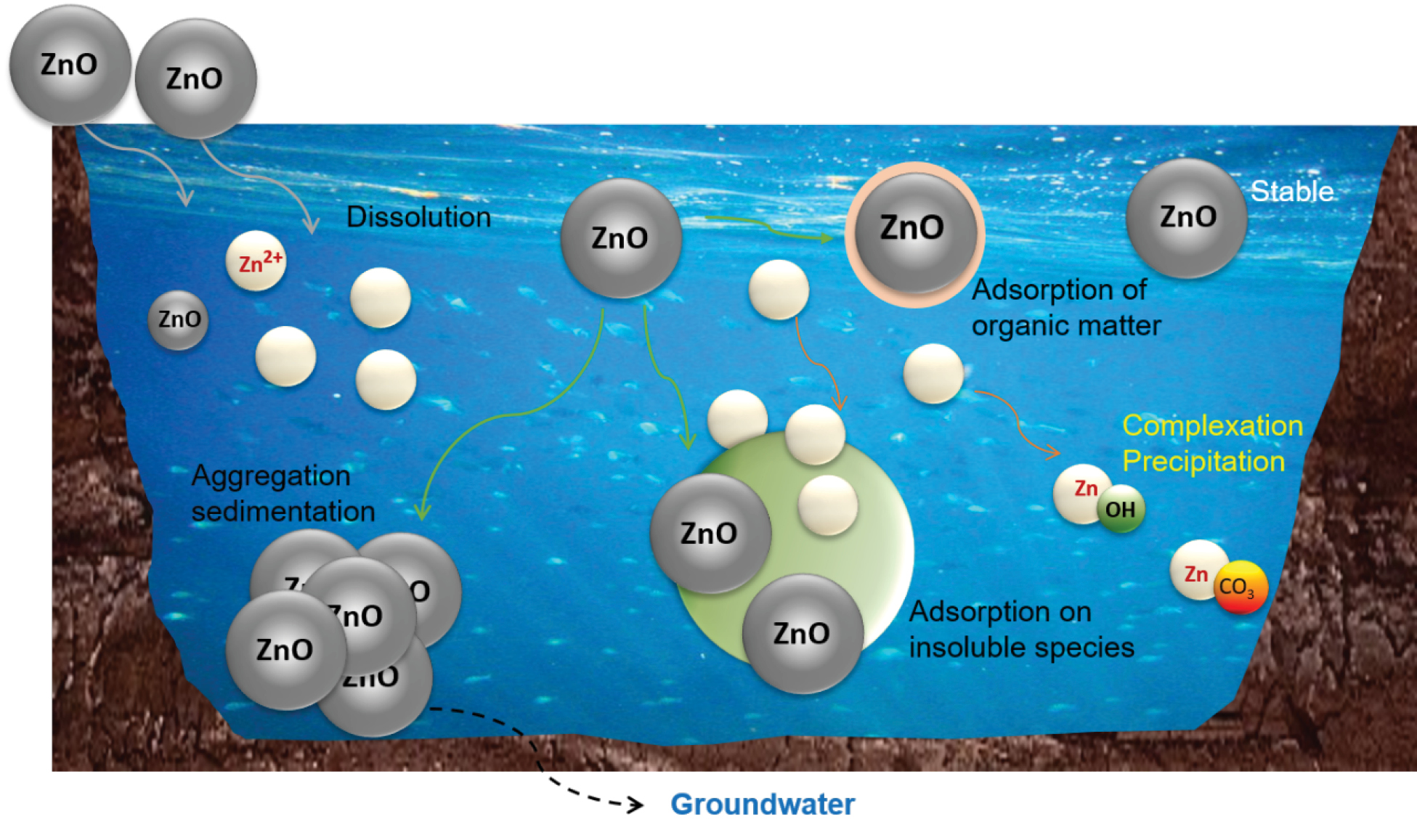 Figure. 2. Illustration of possible transformations of metal oxide nanoparticles in an environmental sample, reproduced with permission.1 
