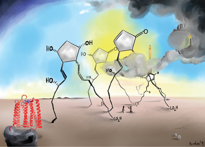 The Temptation of Prostaglandin F Receptor, by Brendan Burkett