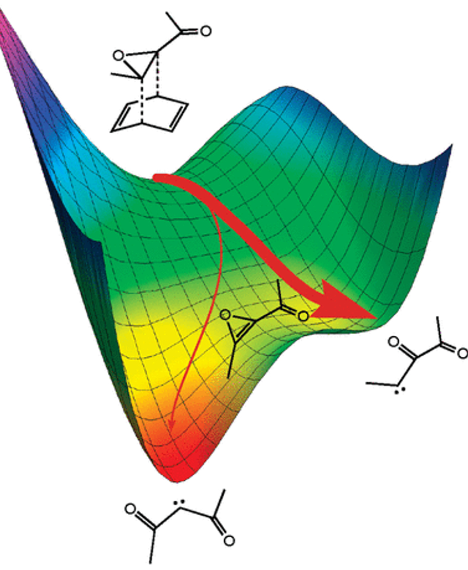  
          
            Figure 2. A post-transition-state bifurcation on a potential-energy surface may give rise to nonstatistical dynamical effects. (Reproduced from A.E. Litovitz, I. Keresztes, B.K. Carpenter, J. Am. Chem. Soc. 
            
              130
            
            :12085-94, 2008.)
          
        