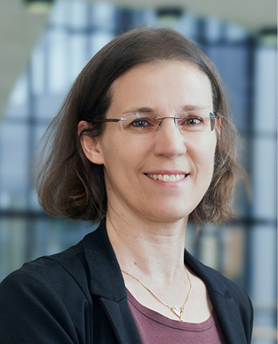  
              Stefanie Dehnen, Karlsruhe Institute of Technology, Germany 
            