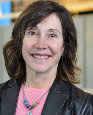  
               Marie Claude Heuzey, Polytechnique Montreal, Canada
            