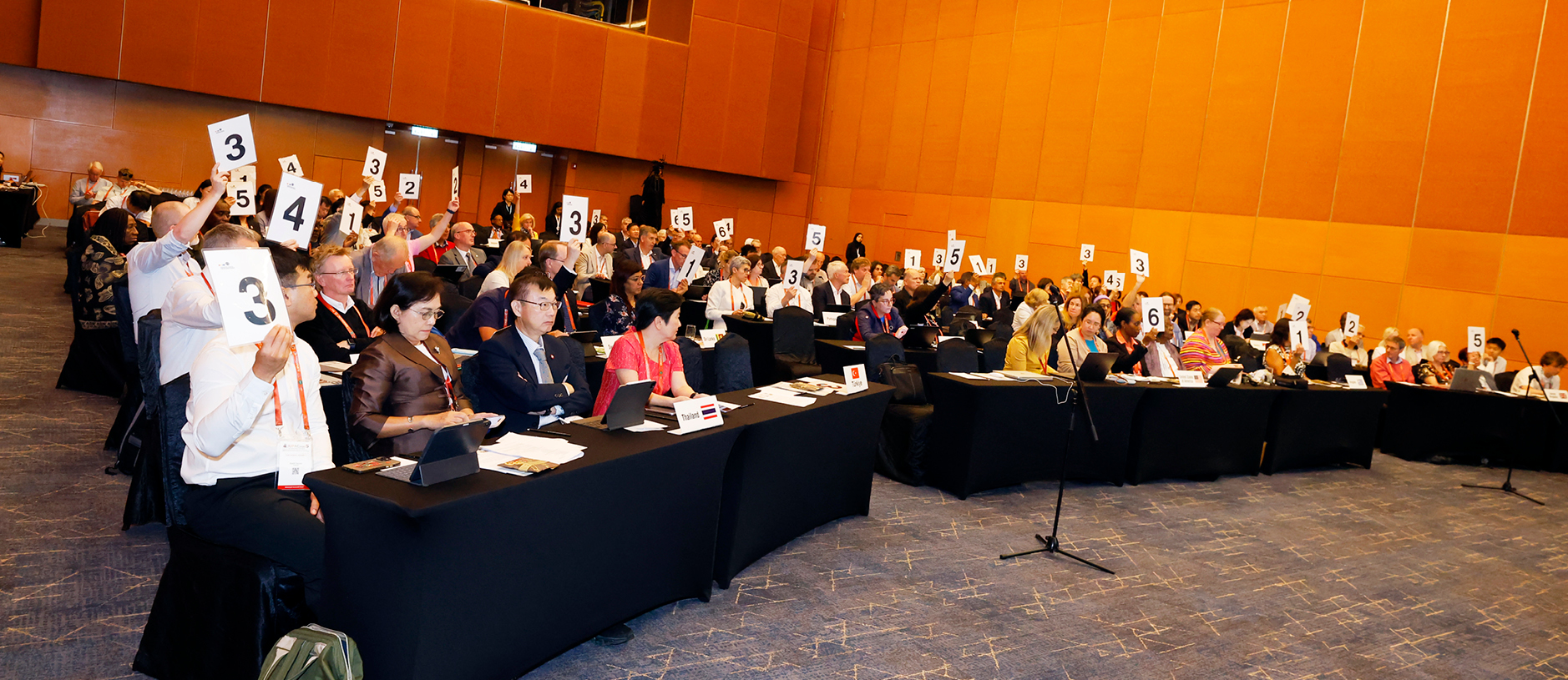 Delegates appointed by National Adhering Organizations (NAOs) vote at the council meeting.
