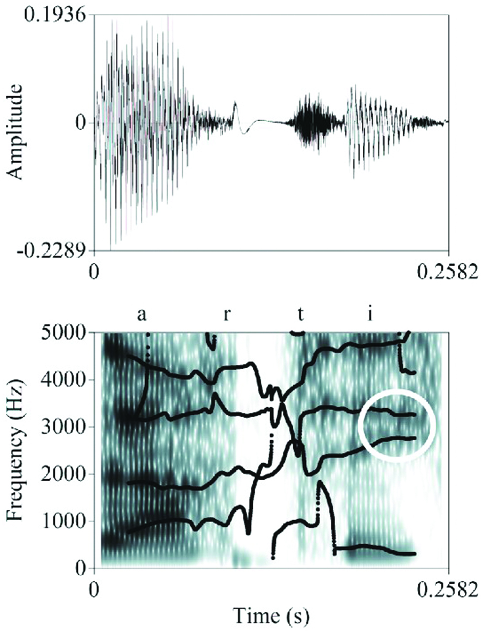 Figure 6: 
Example of a pronunciation variant of articles ‘articles’ in which the OLS cluster is completely absent. The variant is followed by par. The black lines in the spectrogram represent the formants. In the white circle, during the /i/, the second and third formants come very close to each other, which is typical for a velar context.
