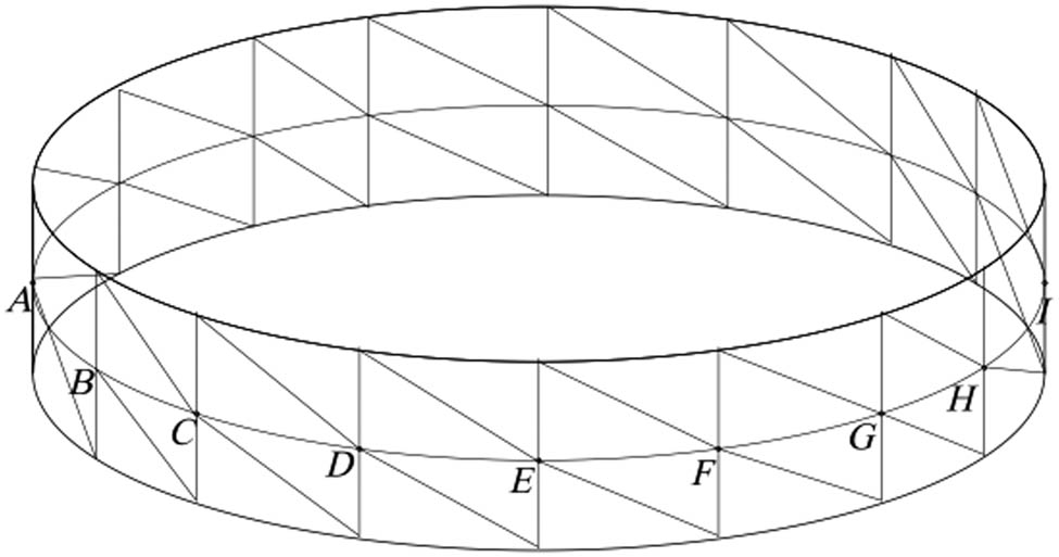 Figure 7 
                     Mesh of the ring.
                  