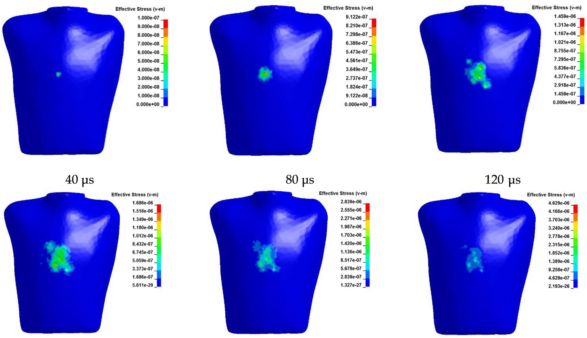 Figure 29 
                  The evolution of the stress field of the thorax epidermis [163].
               