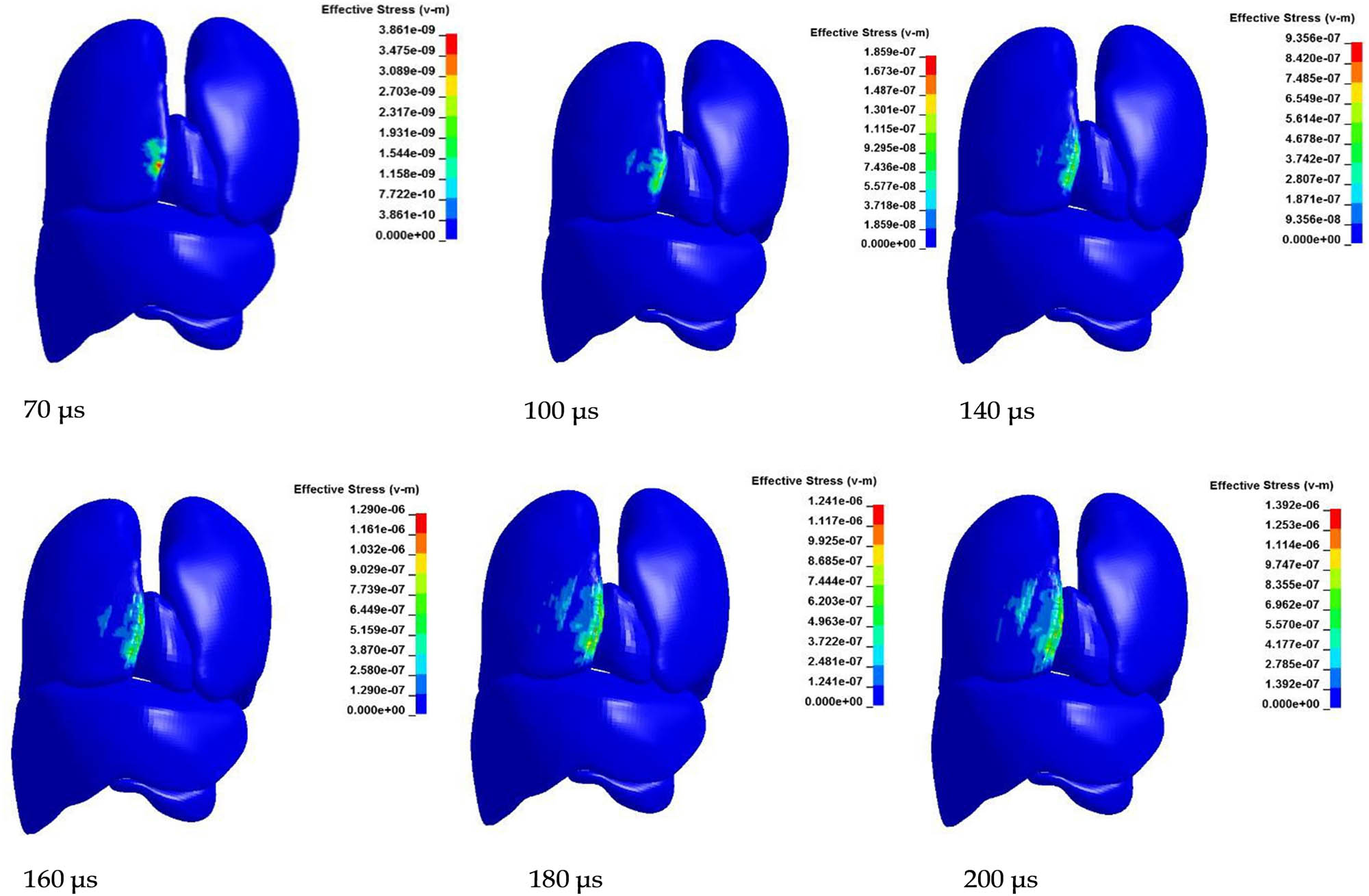 Figure 30 
                  The evolution of the stress field of organs [163].
               