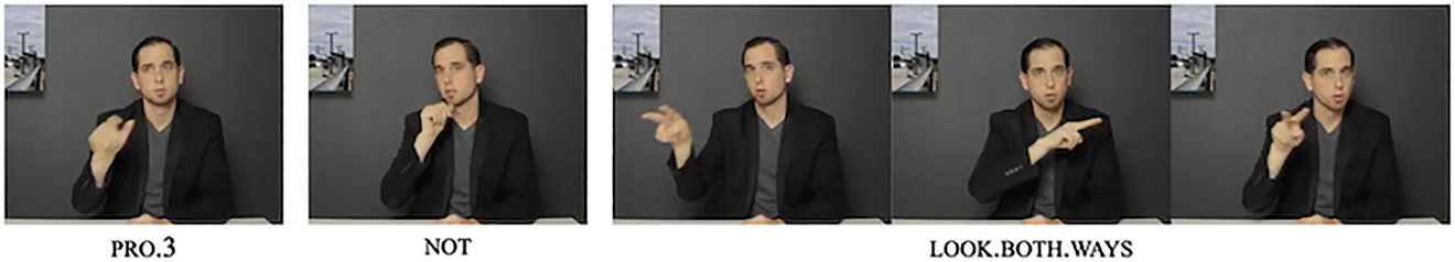 Figure 19: 
“He did not look both ways.”
Source: The Daily Moth. (2017). The Daily Moth 2-20-17 Timestamp: 00:05:34-00:05:36
Images extracted from: https://youtu.be/3NkoX0RZKgE?t=334.
