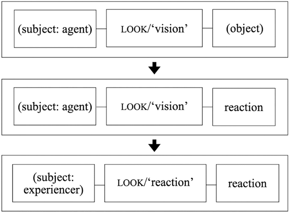 Figure 22: 
Three constructional schemas for the recurring look sequences associated with vision, ambiguous, and reaction, respectively.

