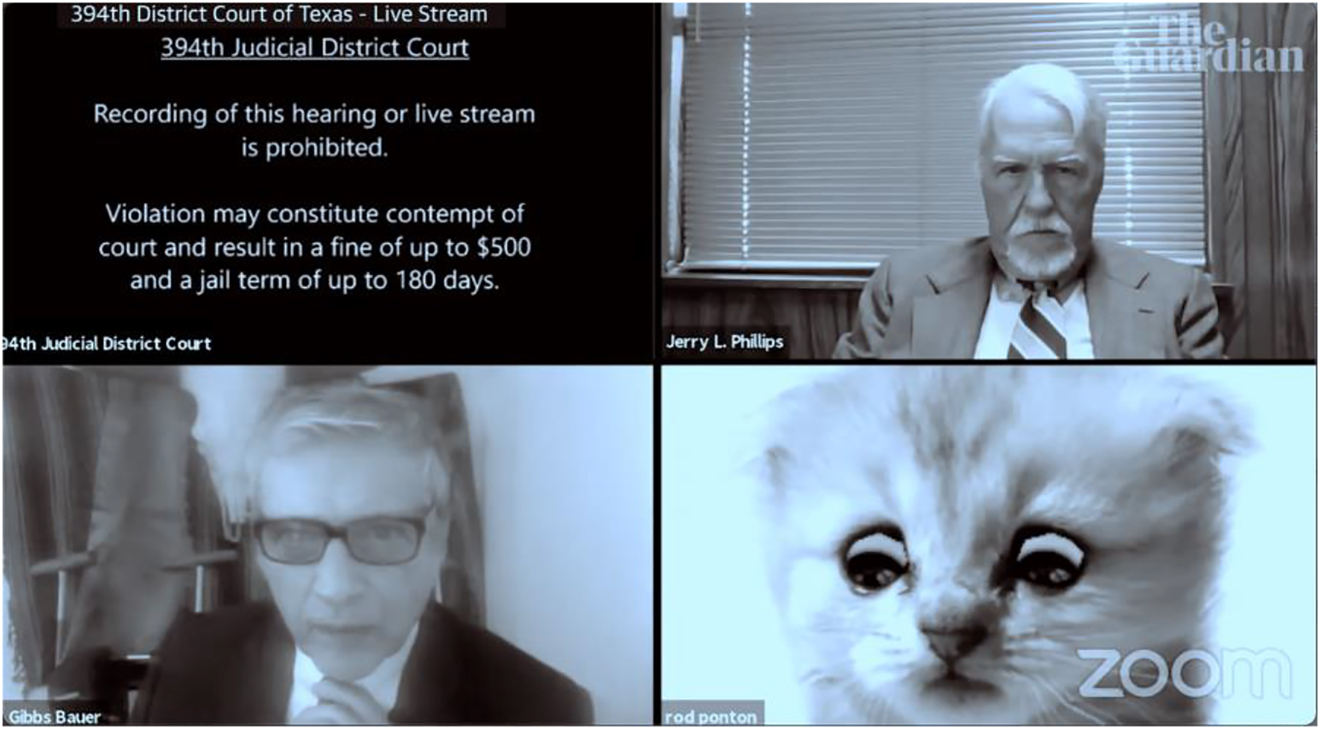 Figure 5: 
Screenshot of the first segment ‘I’m not a cat’ available for viewing at https://www.youtube.com/watch?v=lGOofzZOyl.
