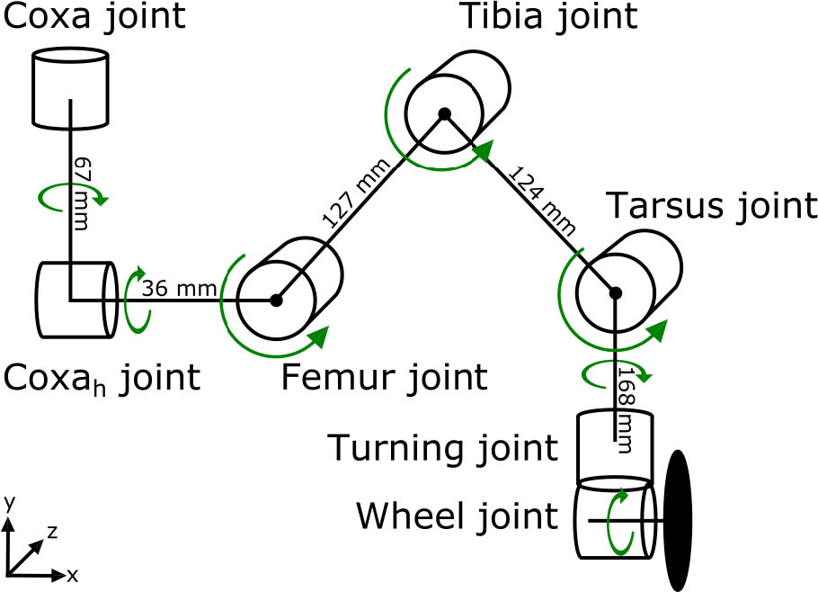 Figure 8 Robot leg configuration. Coxah joint is used for leg rotation in x axis, so the robot legs can stay parallel to the gravity vector even when climbing sloping terrains. Coxa joint is used to move the leg forward and backward and femur, tibia and tarsus joins are used to move the leg up and down. Last two servomotors are used as omni-direction chassis, so the robot can reach higher speed in flat terrain conditions. The leg dimensions and the joint angle ranges for the joins are listed in Table 1.